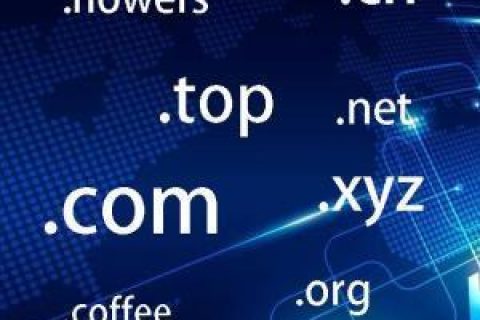 拉薩網(wǎng)站建設(shè)常見問題之什么是域名？如何購買和選購域名？